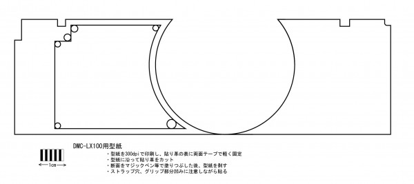 DMC-LX100